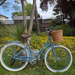 Raleigh Willow Ladies Bike Excellent Condition Size M