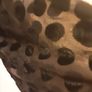Laura Ashley  Elegant and Sophisticated Top, with a Spotted Pattern/Colour: Black  .. Size: 12 UK  40 EU/Price Drop Image 7