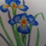 Beautiful Vintage Hand Painted Grosvenor China Image 2