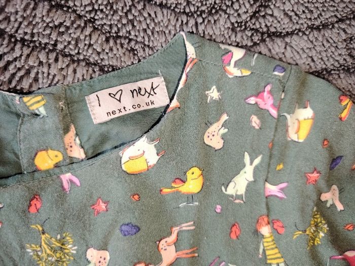 Next Dress  Age 3-4