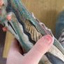 football boot Image 8