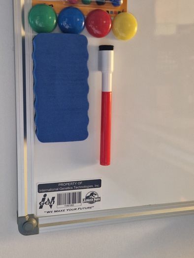 Jurassic Park Property of Ingen Magnet 75x40mm