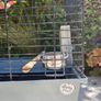 Bird cages Image 3