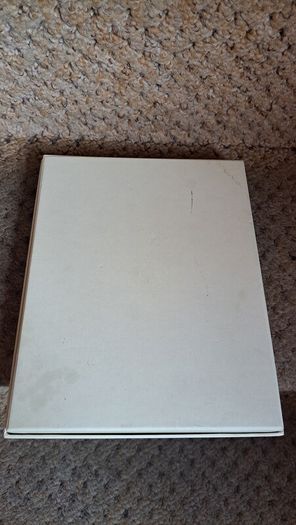 Belleek Silver Picture Frame ( New )