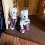 Big sylvanian families bundle Image 9