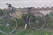 Kelly Bike