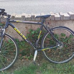 Kelly Bike