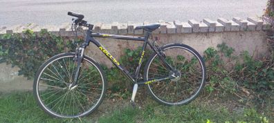 Kelly Bike