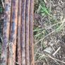 Mitsubishi L200 Springs Image 2