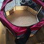 Zampa collapsible pet crate Image 3