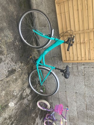 Teal womens bike