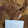 Jellycat Derreck Dog BNWT Image 5