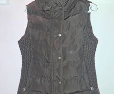 equestrian