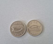 Irish Millennium 1 pound coins