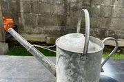 Vintage Galvanized watering can
