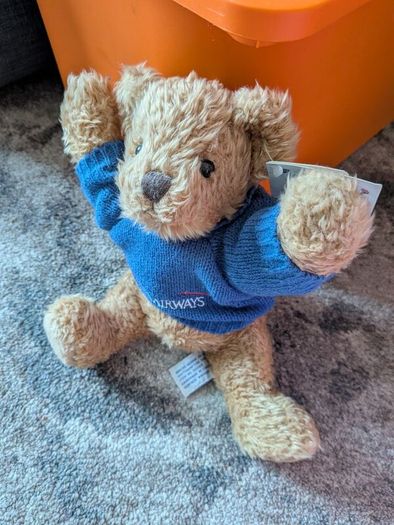 airline bears eur 10 each