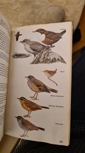 Birds Of Britain And Europe. The Hamlyn Guide. By Bertel Bruun. Illustrated By Arthur Singer. 516 Birds In Colour & 448 Maps. Paperback In FAIR CONDITION. 32..