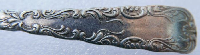 Vintage silver-plated  1847 Rogers Bros in Vintage Case