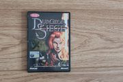 PC game Dungeon Siege