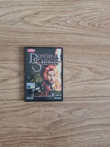 PC game Dungeon Siege