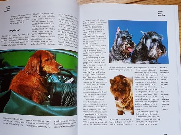 Dogs - Friends for Life