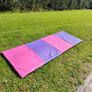 Gymnastics bar, mat, wedge Image 2