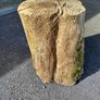 Garden stump Image 2