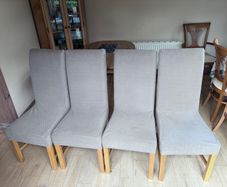 Dining Chairs
