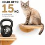 Cat Wall Furniture Climbing Perch very strong Image 5