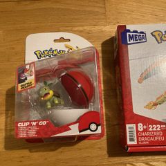 Pokemon figurines- Turtwig and Charizard