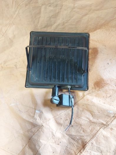 Security light
