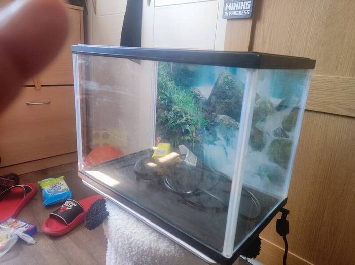 Fish tank