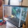 Fish tank Image 2