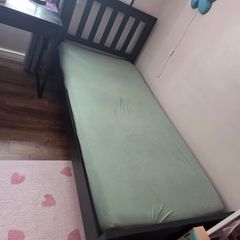 Harvey Norman single bed