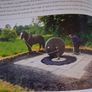 Industrial Ireland 1750 - 1930/ An Archaeology / Colin Rynne / 1st. Ed., 2006 Image 10