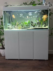 Aquael Opti Glass Aquarium  300L with Cabinet Fluval Filter & Plant Light