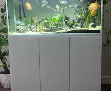 Aquael Opti Glass Aquarium  300L with Cabinet Fluval Filter & Plant Light