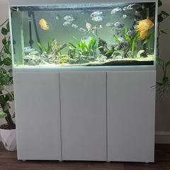 Aquael Opti Glass Aquarium  300L with Cabinet Fluval Filter & Plant Light