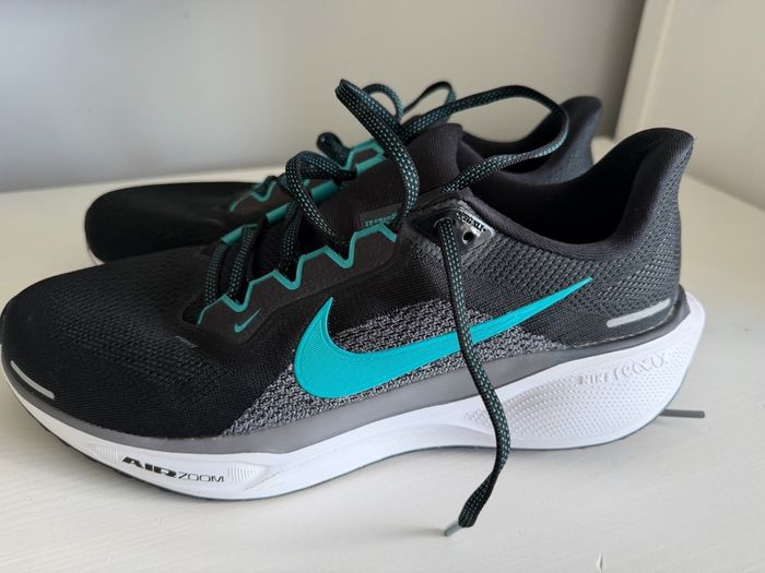 Nike Pegasus Runners