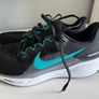 Nike Pegasus Runners Image 2