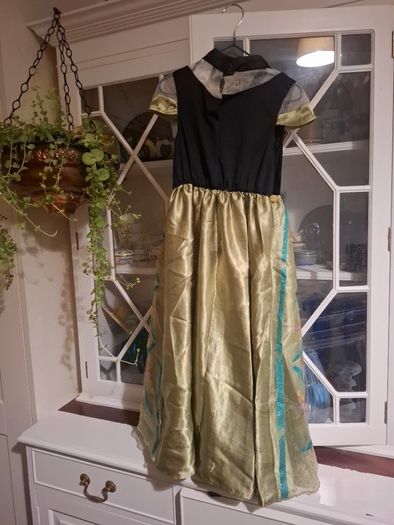 Anna Frozen costum 5-6