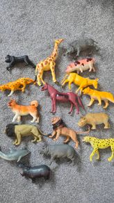Mix of animals