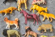 Mix of animals