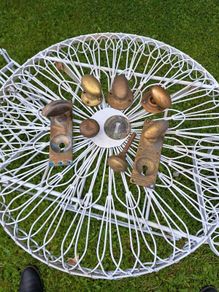 Vintage Brass Door Furniture