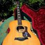Taylor 818e USA made Grand Orchestra Image 2