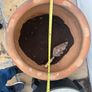 Large ceramic garden pot Image 3