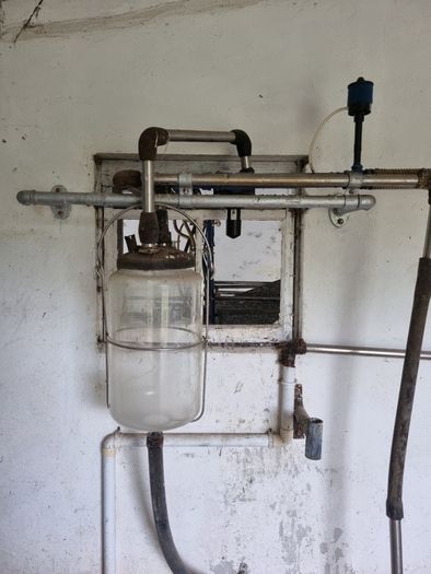 Vintage Milking Parlour