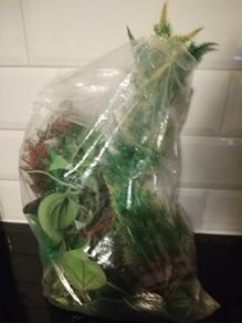 Decorations for Fish Tank
