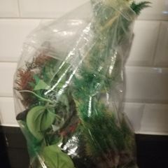 Decorations for Fish Tank