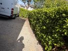Man with a Van Dublin Image 6